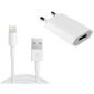 Apple Oplader Lightning 2 meter 5W